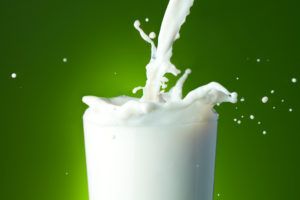 sustitutos leche