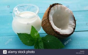 yogur de leche de coco